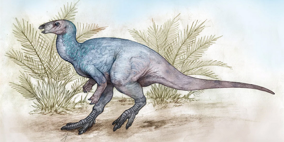 Chakisaurus nekul